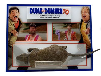 Lloyd Christmas' (Jim Carrey) Rat Prop
This is the screen matched prop rat from the 2014 film Dumb and Dumber To. The prop has an opening on the underside, revealing internal electronics and can be seen during the film when Harry Dune (Jeff Daniels) fantasizes about what it would have been like to be a father, Lloyd Christmas (Jim Carrey) can be seen riffling through garbage, holding this twitching rat prop in his mouth.
Keywords: Lloyd Christmas&#039;(Jim Carrey) Rat Prop