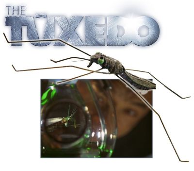 Water Strider Bug
A Water Strider Insect from the 2002 Jackie Chan action comedy, The Tuxedo. Developed by the films villain, Dietrich Banning (Ritchie Coster) these genetically modified insects were intended to poison the nations water supply. This delicate insect is made from vacuum form plastic and has been painted with varying shades of brown and green to appear lifelike. The legs have been glued to the bottom and covered with a layer of purple paint.
Keywords: Water Strider Bug